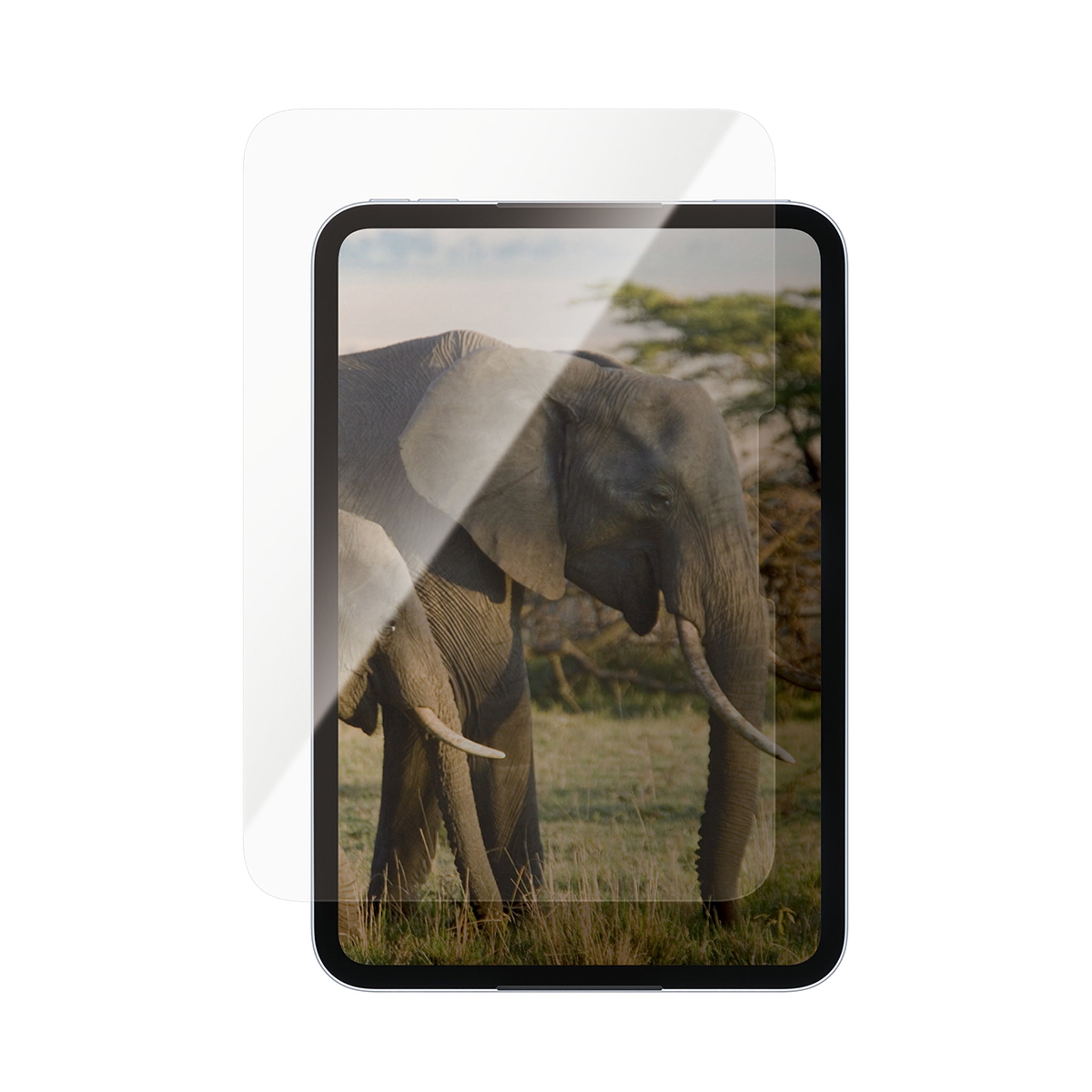 PanzerGlass® Skærmbeskyttelse iPad Mini 8 (2026) | Ultra-Wide Fit
