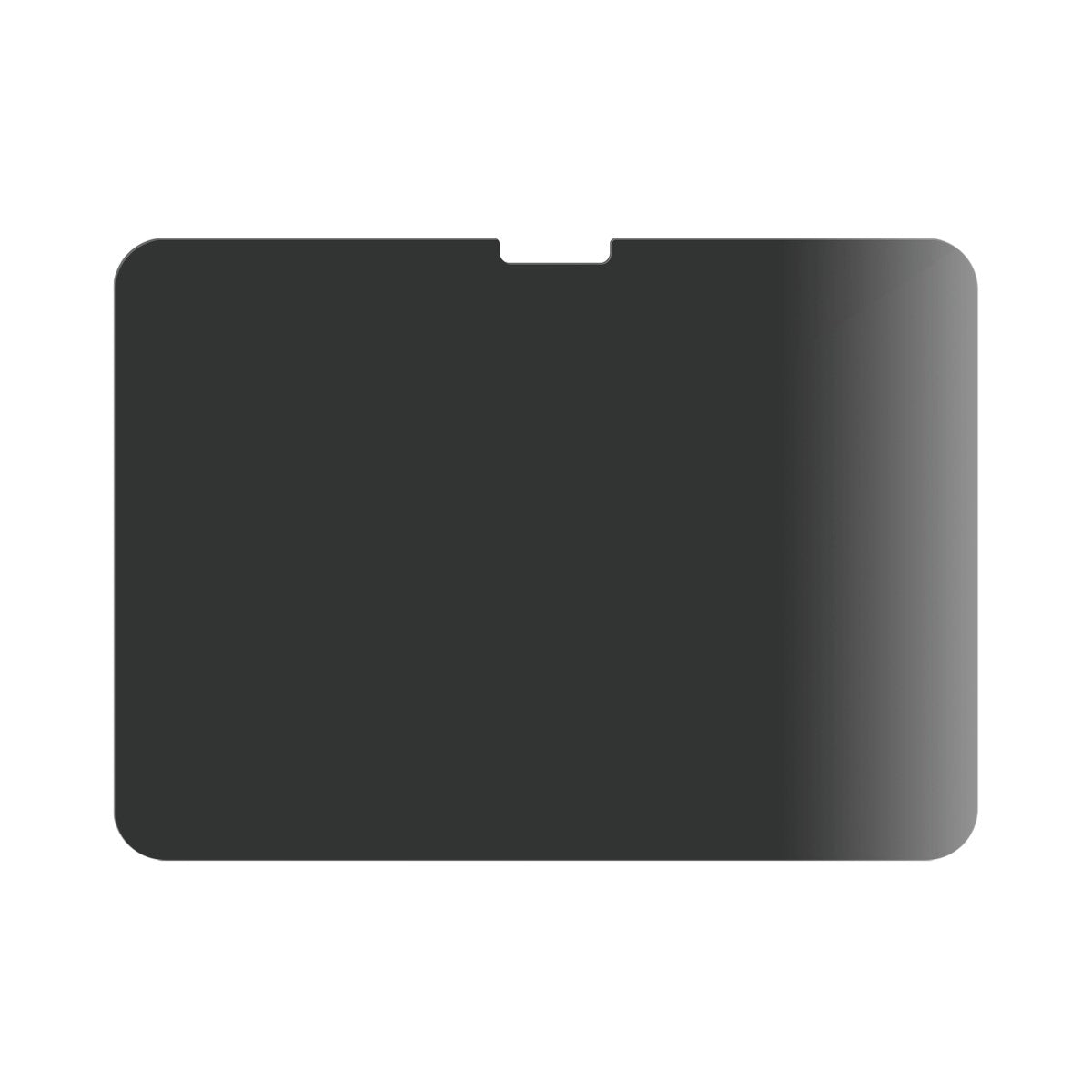 PanzerGlass® Privacy Skærmbeskyttelse iPad Air 11'' (2025-2024) | iPad 10.9'' (2022) | Ultra-Wide Fit